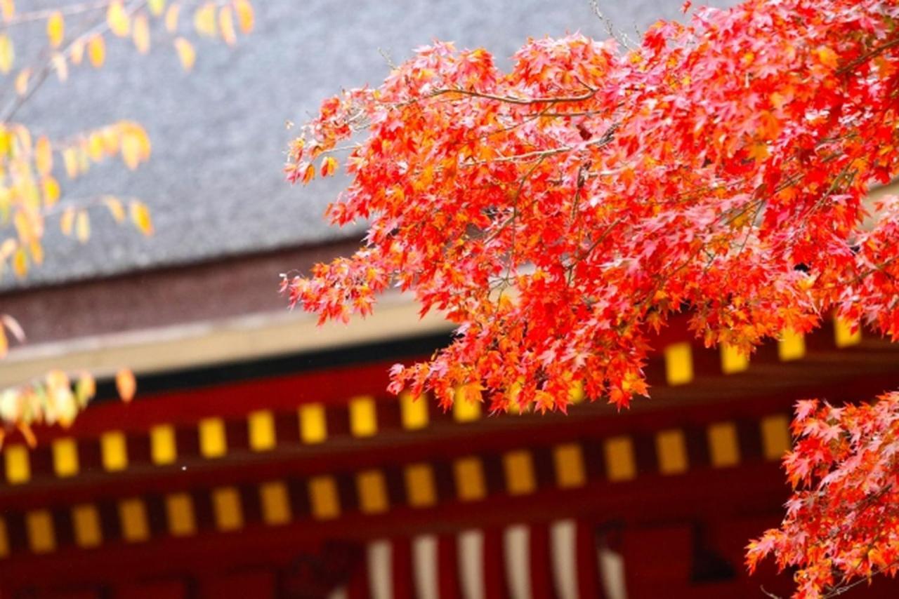 Stay Sakura Kyoto Kiyomizu Ougi Exterior foto